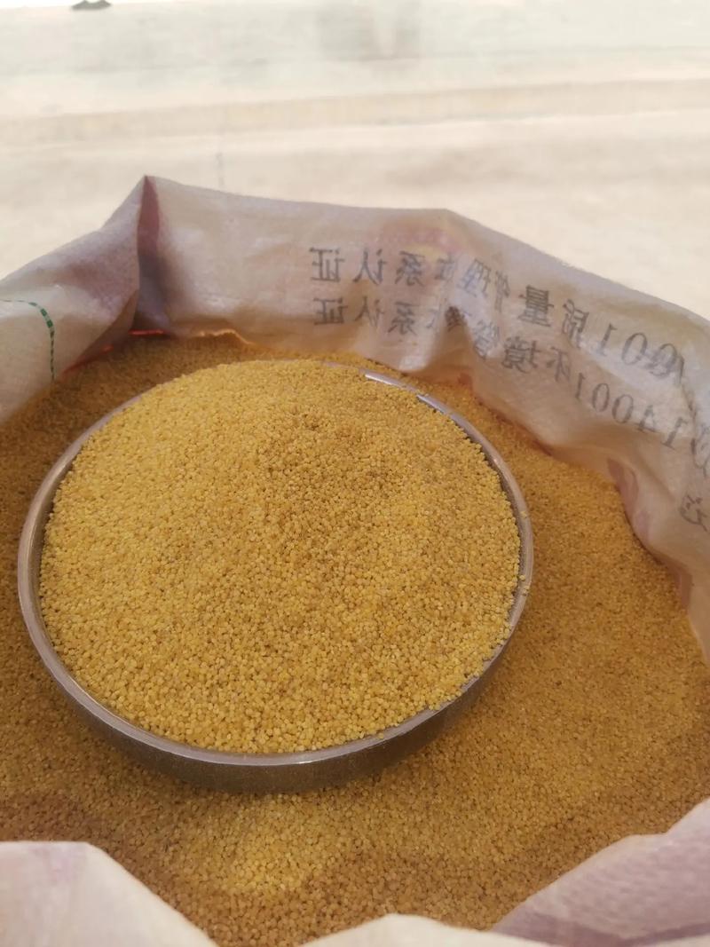 自家新小米，天然不打农药，吃得放心