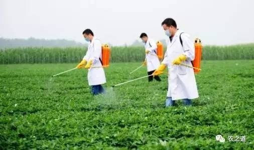 【农技知识】高温天喷施农药,7大注意事项要牢记!