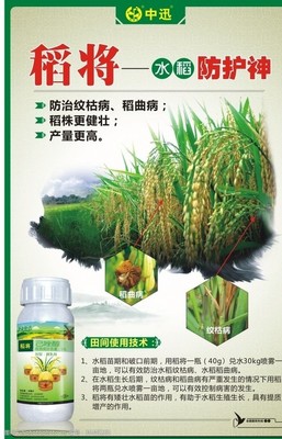 稻田背景图片素材