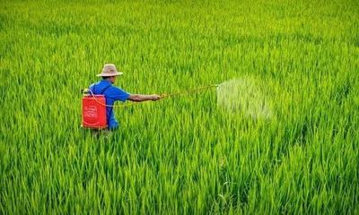 【农药喷洒】有机农药、生物农药和低毒农药的差别