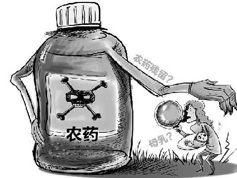 有机基地航拍| 母乳中竟含有农药!拿什么拯救化肥、农药、激素的世界?